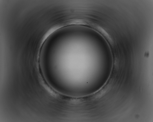 X0000101961378200807181030