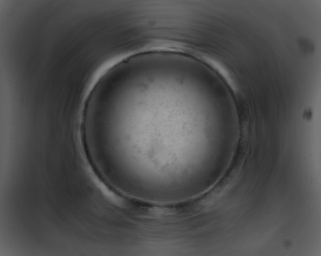 X0000101961379200807181030
