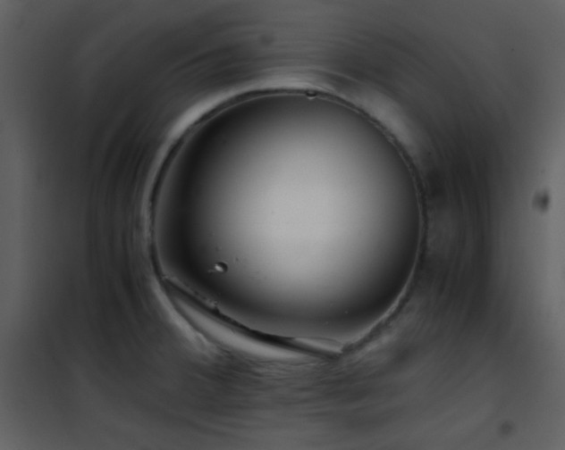 X0000101961380200807181030