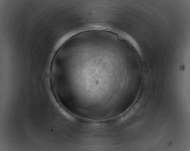 X0000101961381200807181030