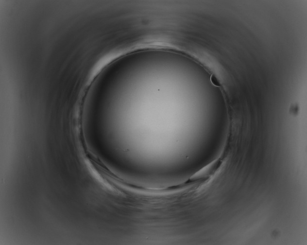 X0000101961382200807181030