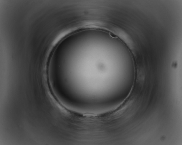 X0000101961384200807181030