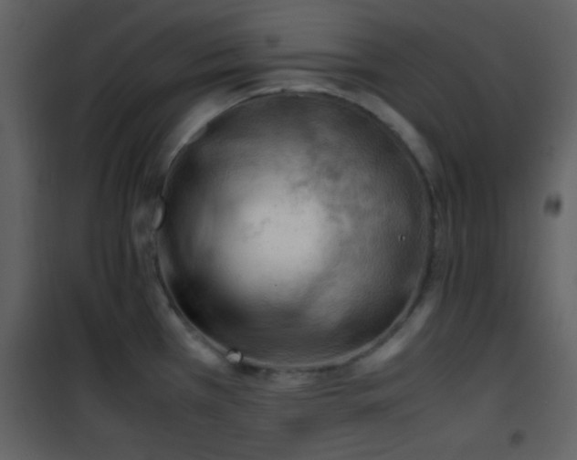 X0000101961385200807181030