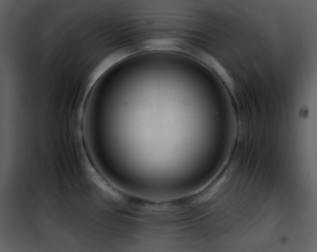 X0000101961386200807181030
