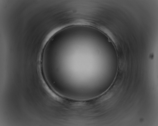 X0000101961387200807181030