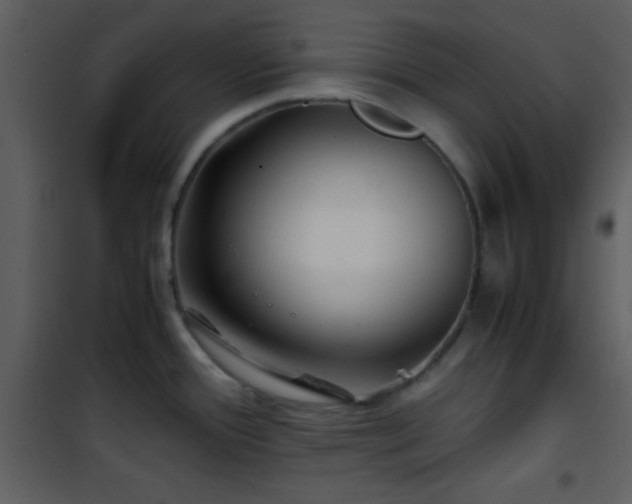 X0000101961388200807181030