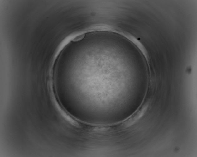 X0000101961389200807181030