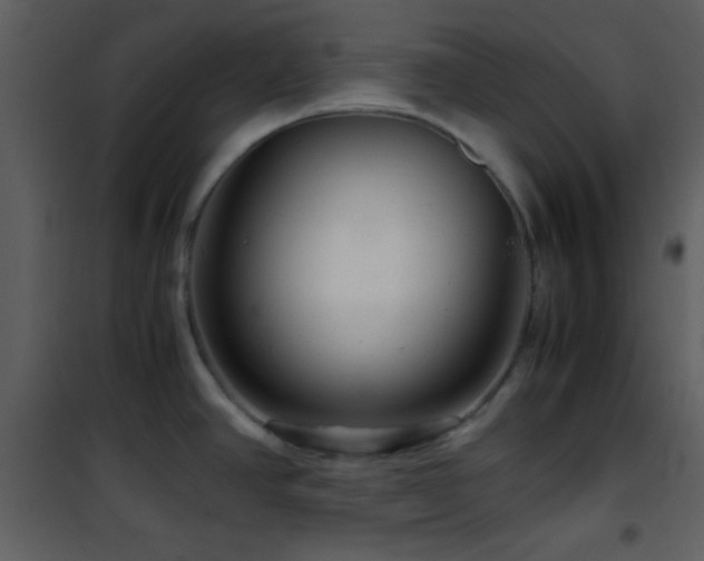 X0000101961390200807181030
