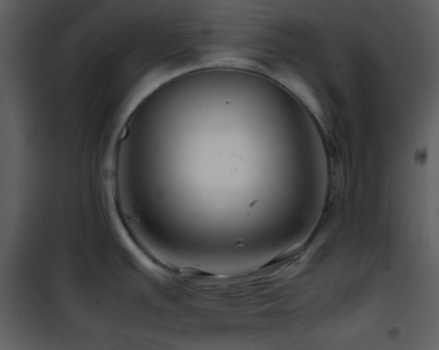 X0000101961391200807181030
