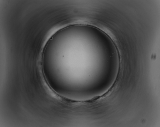 X0000101961392200807181030