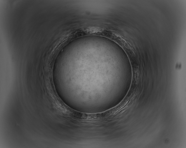 X0000101961393200807181029
