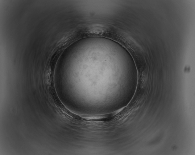 X0000101961394200807181029