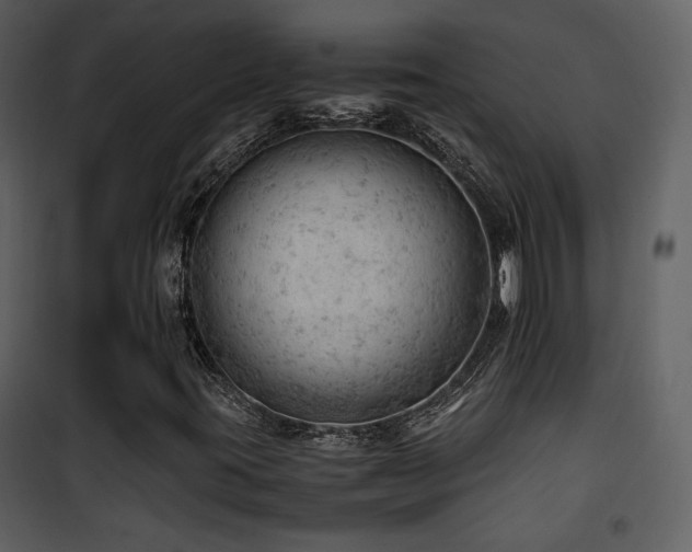 X0000101961395200807181029