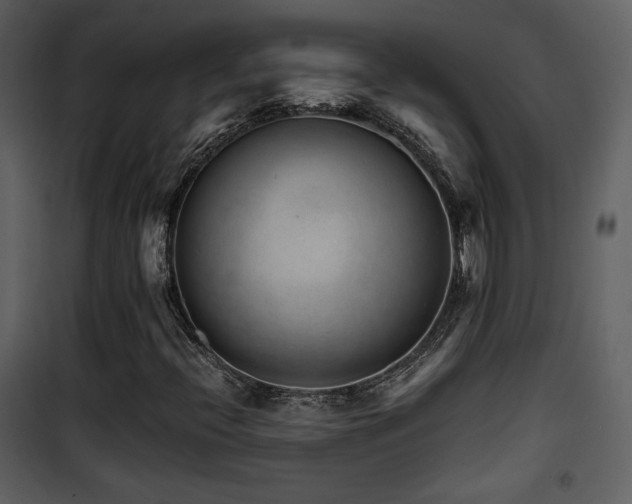 X0000101961396200807181029