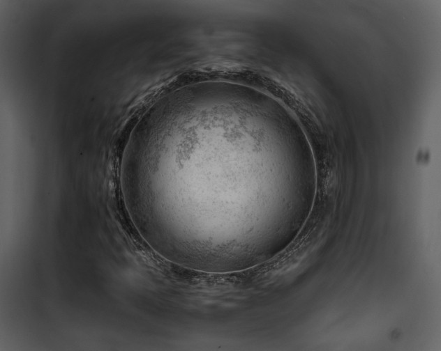 X0000101961397200807181029