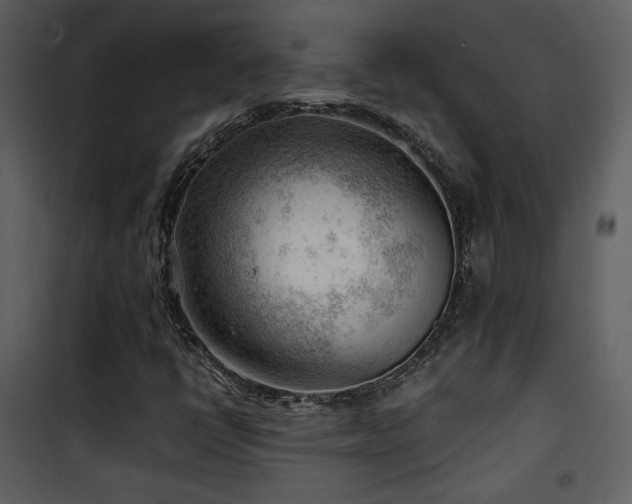 X0000101961398200807181029