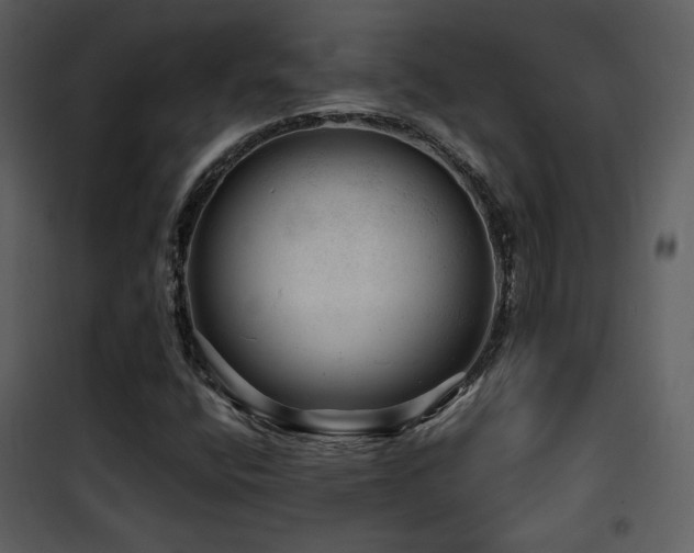 X0000101961400200807181029