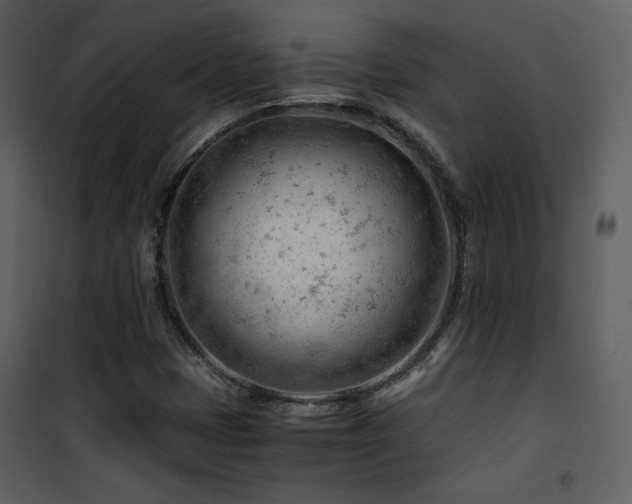 X0000101961401200807181029