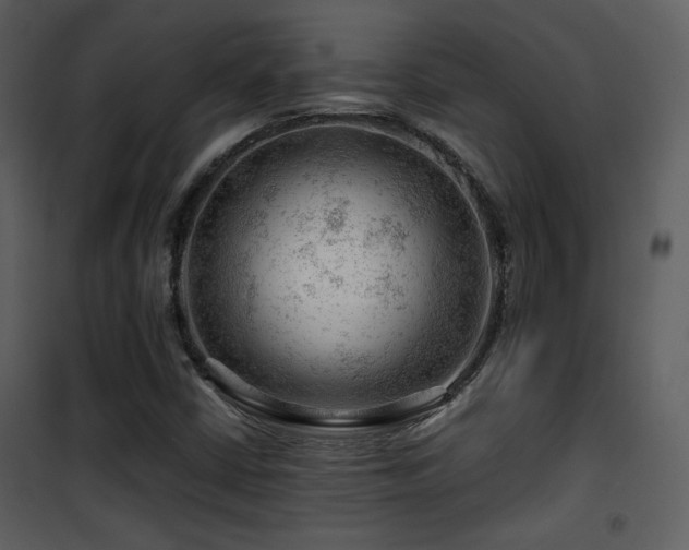 X0000101961402200807181029
