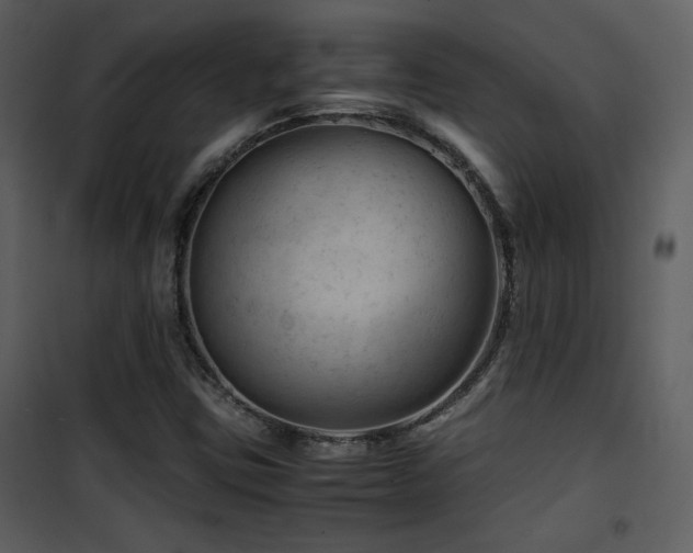 X0000101961403200807181029