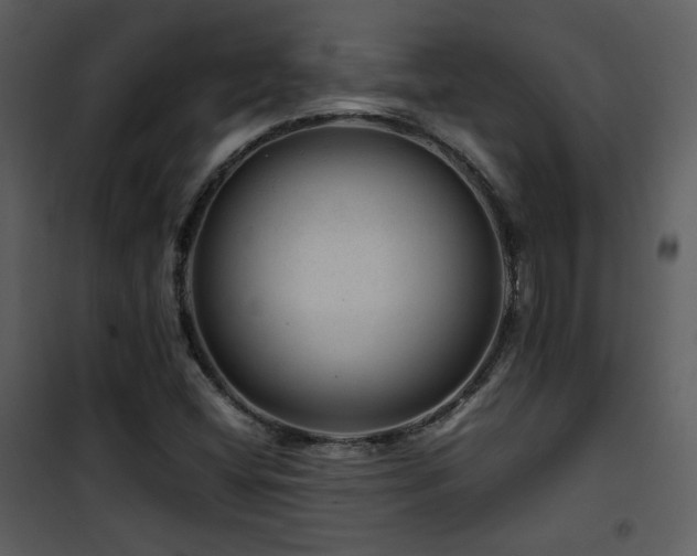 X0000101961404200807181029