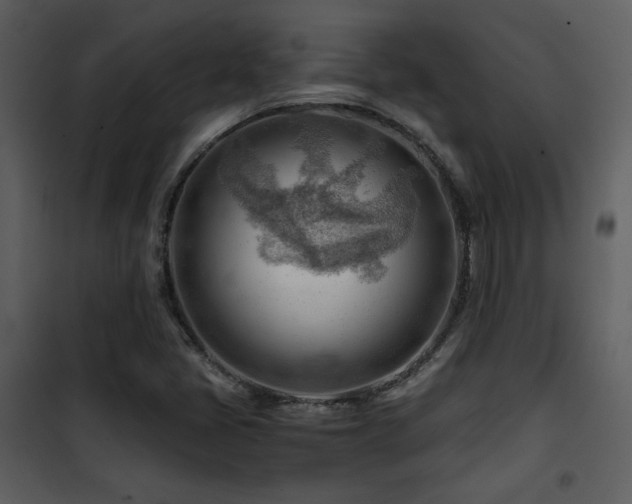 X0000101961405200807181029