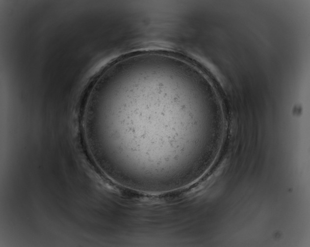 X0000101961407200807181029