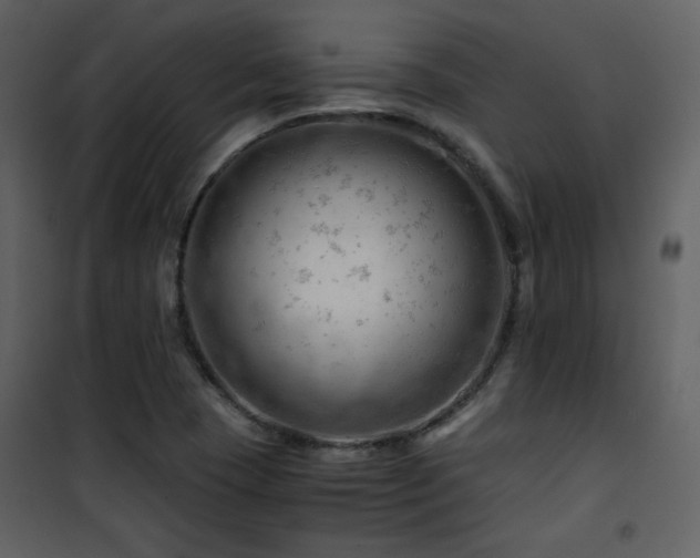 X0000101961409200807181029