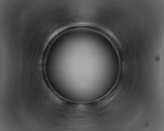X0000101961412200807181029