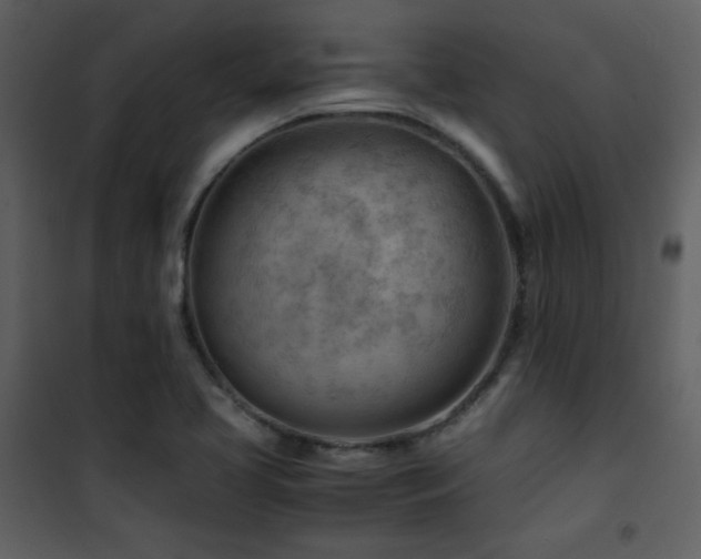 X0000101961413200807181030