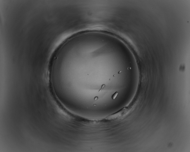 X0000101961414200807181030
