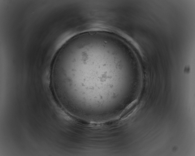 X0000101961415200807181030