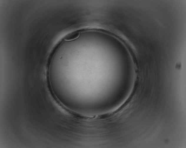 X0000101961416200807181030