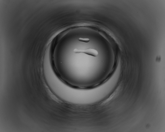 X0000101961417200807181030
