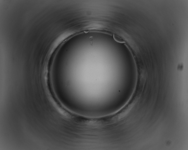 X0000101961418200807181030