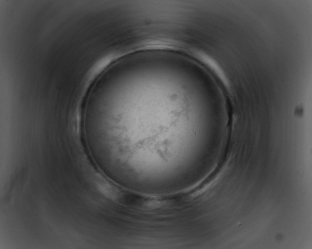 X0000101961419200807181030