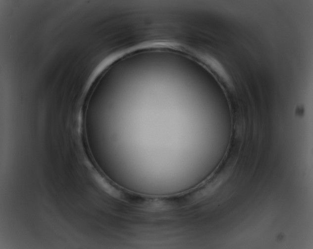 X0000101961420200807181030