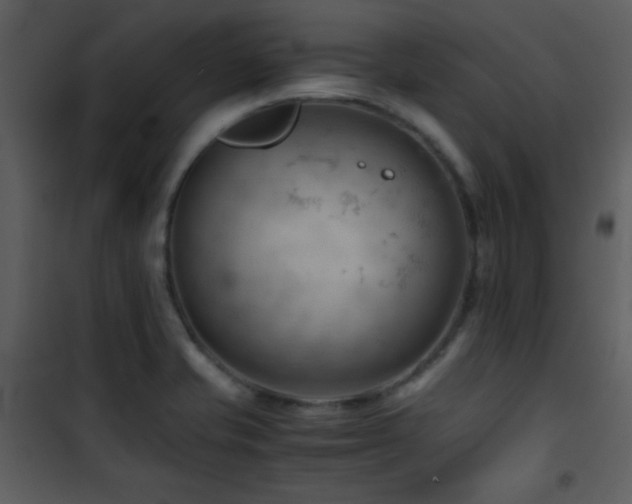 X0000101961421200807181030