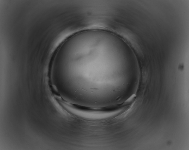 X0000101961422200807181030