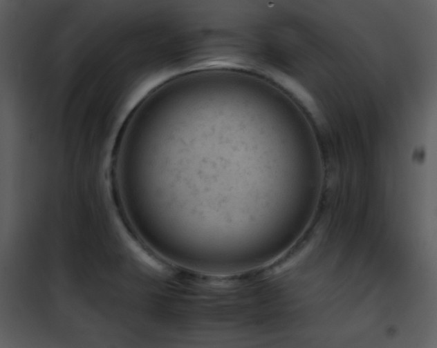 X0000101961423200807181030