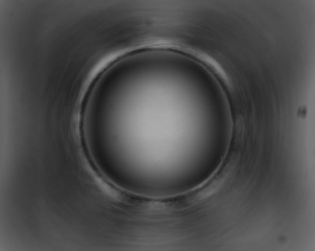 X0000101961424200807181030