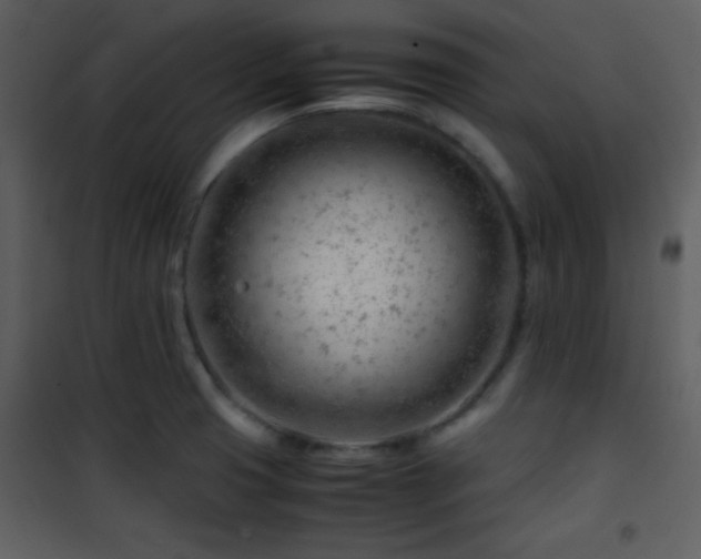 X0000101961425200807181030