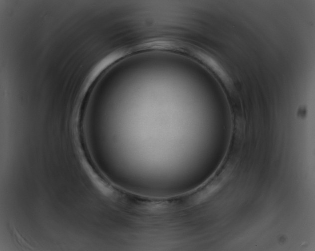 X0000101961426200807181030