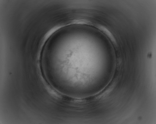 X0000101961427200807181030