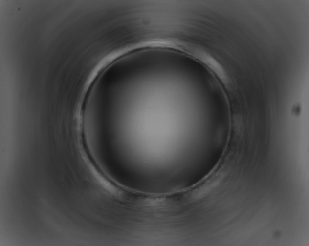 X0000101961428200807181030