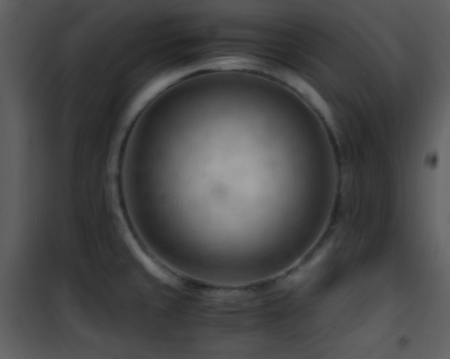 X0000101961429200807181030