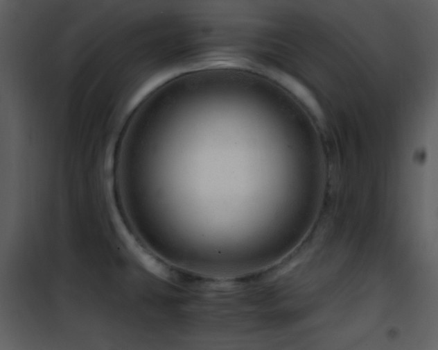 X0000101961431200807181030
