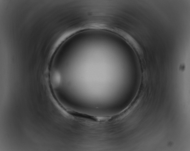X0000101961432200807181030