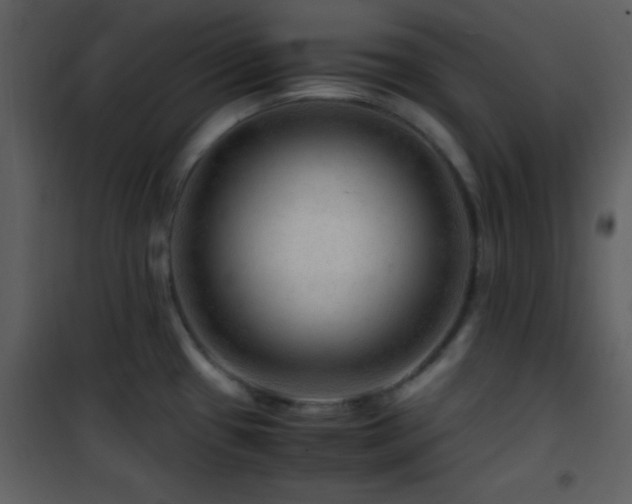X0000101961433200807181030