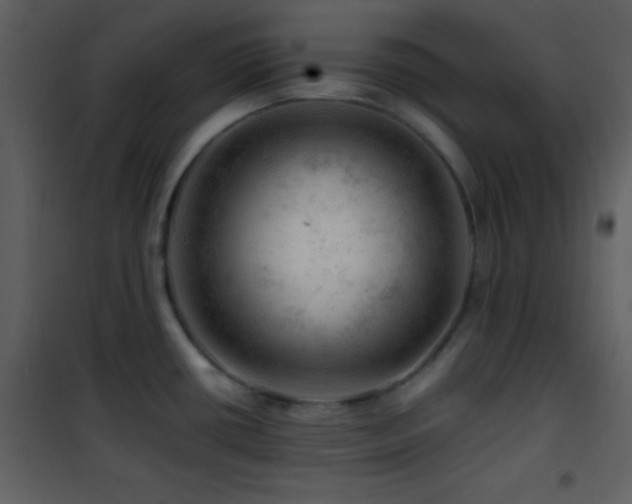 X0000101961434200807181030